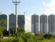 Yêu cầu kiểm tra dự án Đại Thanh